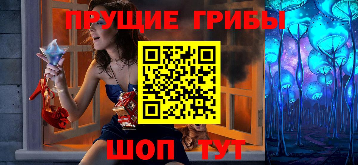 Псилоцибиновые грибы Psilocybe Ишим