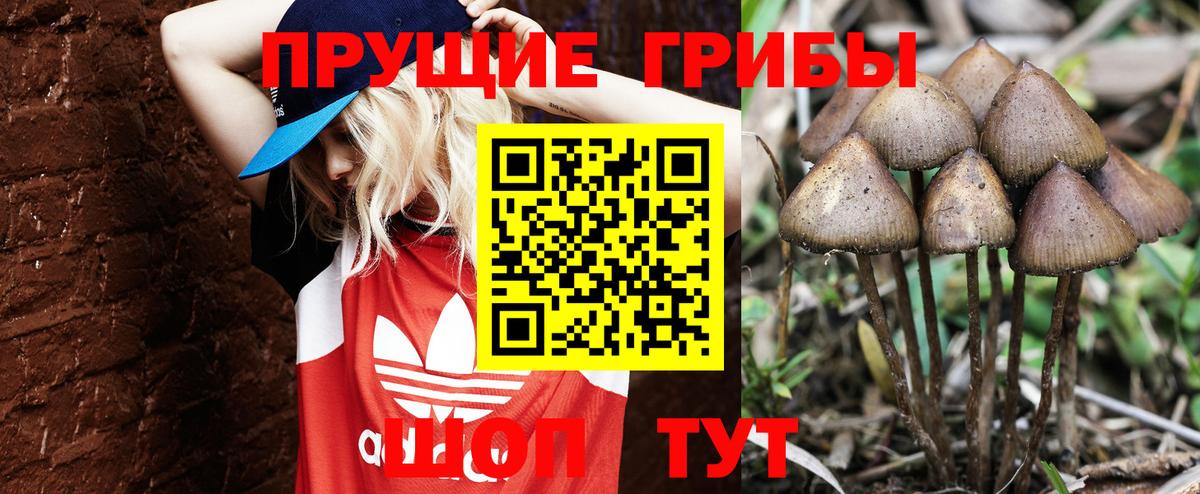 хочу наркоту  Вход с VPN  Ишим  Галлюциногенные грибы прущие грибы 